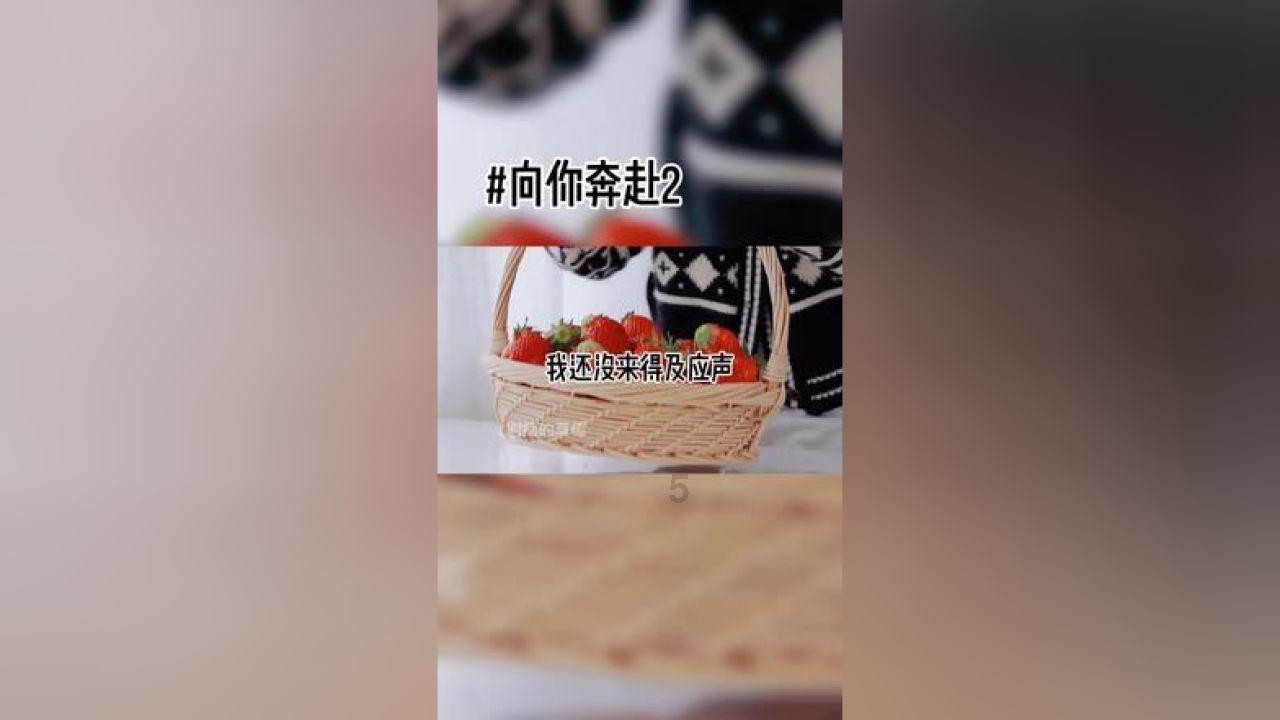 为夺汗位兄弟相残，忽必烈击败弟弟，建立元朝